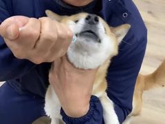 -良伴无忧宠物医院(泰欣嘉园店)