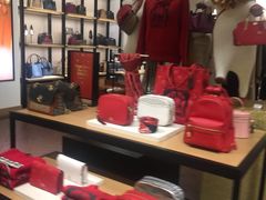 -COACH蔻驰(星光68广场店)