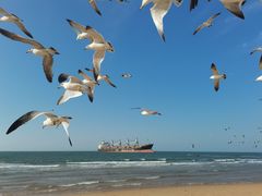 -威海大水泊国际机场