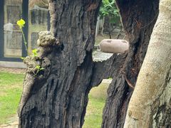 -绮园景区