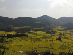 -牛街螺丝田