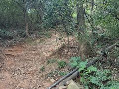 -杭州半山国家森林公园