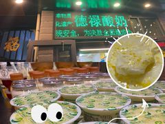 -德禄酸奶(莫家街店)