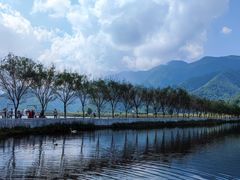 -大九湖
