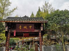 -青城甲(青城山店)