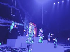 -珠海横琴长隆《卡卡虎奇遇记》