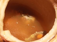 泰式椰皇炖乌鸡汤-陈鹏鹏潮汕菜(宝安机场T3航站楼店)