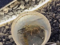 -DGE季风钓虾营地·团建·聚会