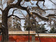 -沈阳市东陵公园