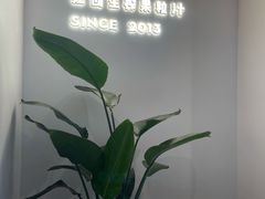 -树夏(金楠天街店)