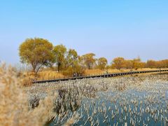 -野鸭湖国家湿地公园