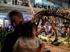 -自贡恐龙博物馆