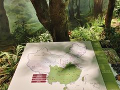 -中国茶叶博物馆(双峰馆区)