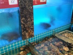 -潮州府·潮菜·砂锅粥(徐家汇店)