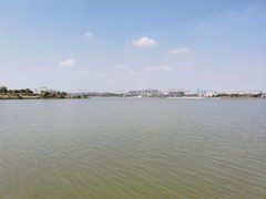 -九龙湖公园