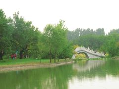 -御林古桑园