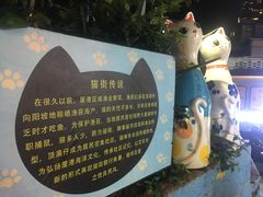 -猫咪博物馆(顶澳仔猫街店)