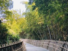 -福道