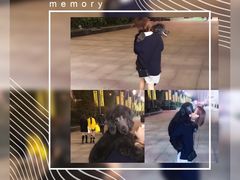 -翊宠yipet猫狗购宠庄园犬舍•猫舍