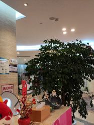 点击看大图 -四川娇点医学美容医院