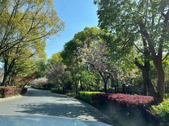 -浙江西子宾馆·瑶园咖啡厅