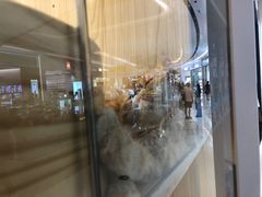 -屋虎猫馆(宝安大仟里店)