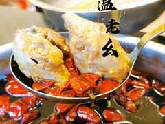 -温老幺兔头