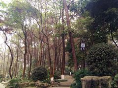 -忠山公园