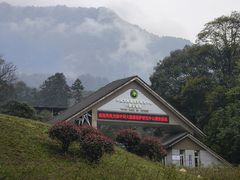 -中国大熊猫保护研究中心雅安碧峰峡基地