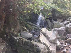 景点-藏龙百瀑风景区