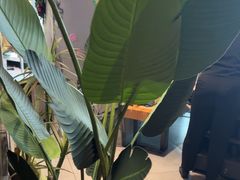 -湊湊火锅·茶憩(皇姑万象汇店)