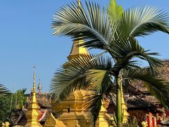 -西双版纳傣族园