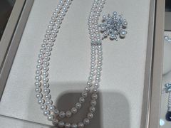 -御木本(银座2丁目本店)