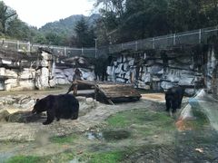 -黔灵山公园