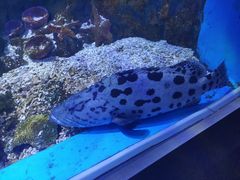 -海合安武汉极地海洋公园