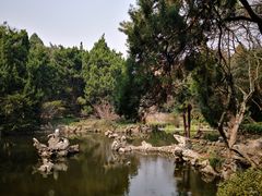 -叶家花园