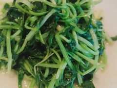 -老吉堂上海本帮菜(望京万象汇店)