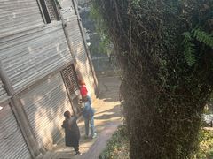 -星巴克(福州三坊七巷店)