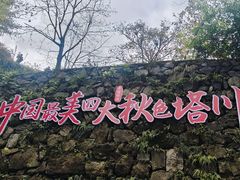 -塔川景区