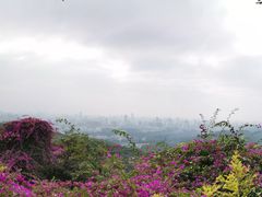 -广州市白云山风景名胜区
