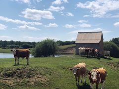 -塞罕坝国家级自然保护区