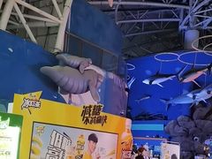 -烟台海昌鲸鲨海洋公园