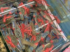 -明记海鲜大排档(巽寮湾店)