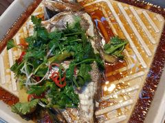 清蒸真鯛-盒马鲜生(悠方店)