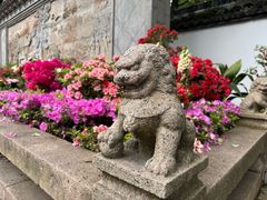 -上海醉白池公园