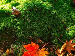 -丹东天桥沟景区