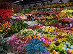 -双季花艺园艺市场(浦东店)