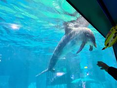 -福州罗源湾海洋世界旅游区