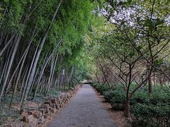 -九龙潭景区