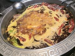 -杨肥肠火锅大排档(火车站花园店)